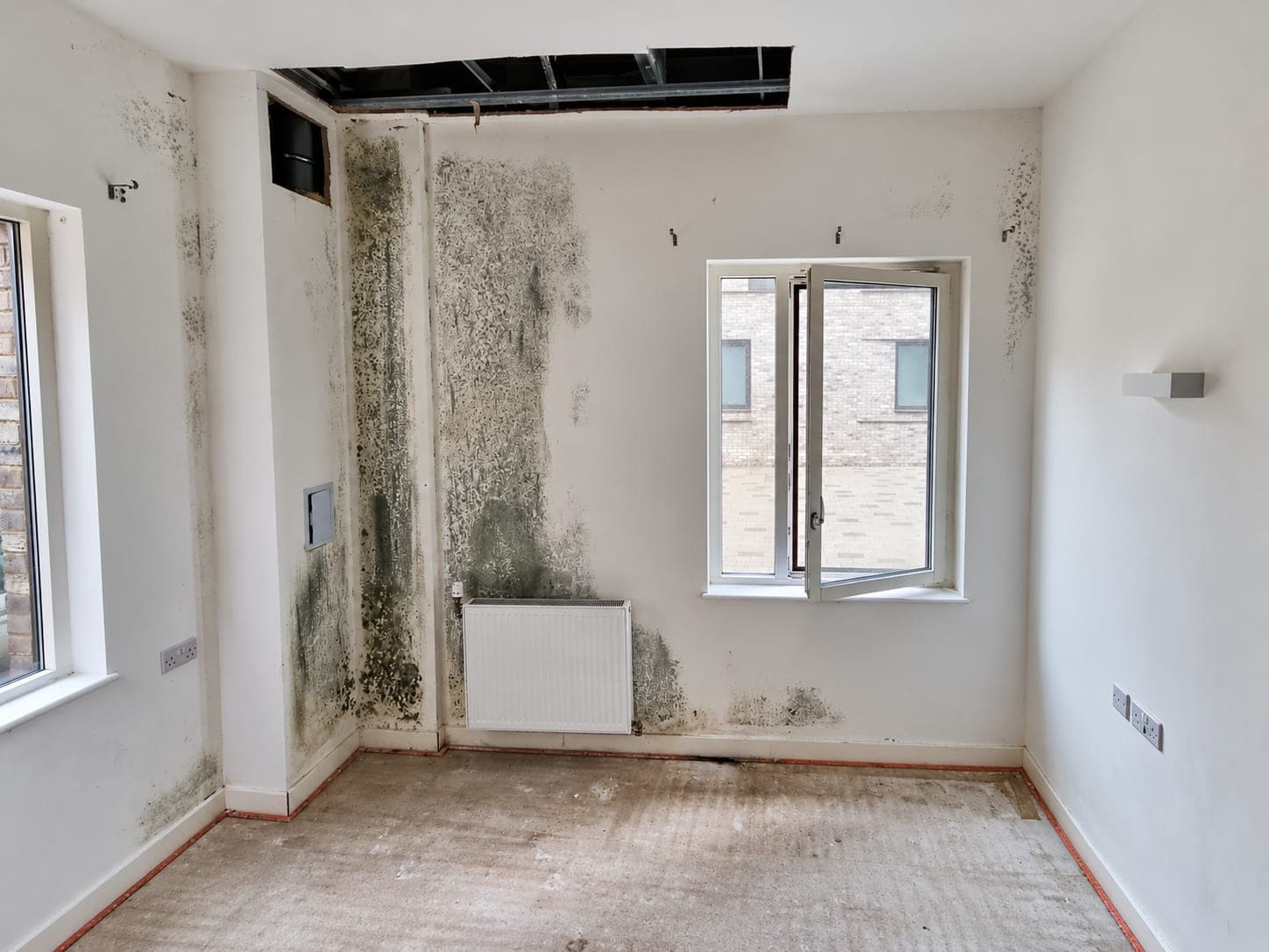 Mould spreading from a ceiling corner down the wall, London