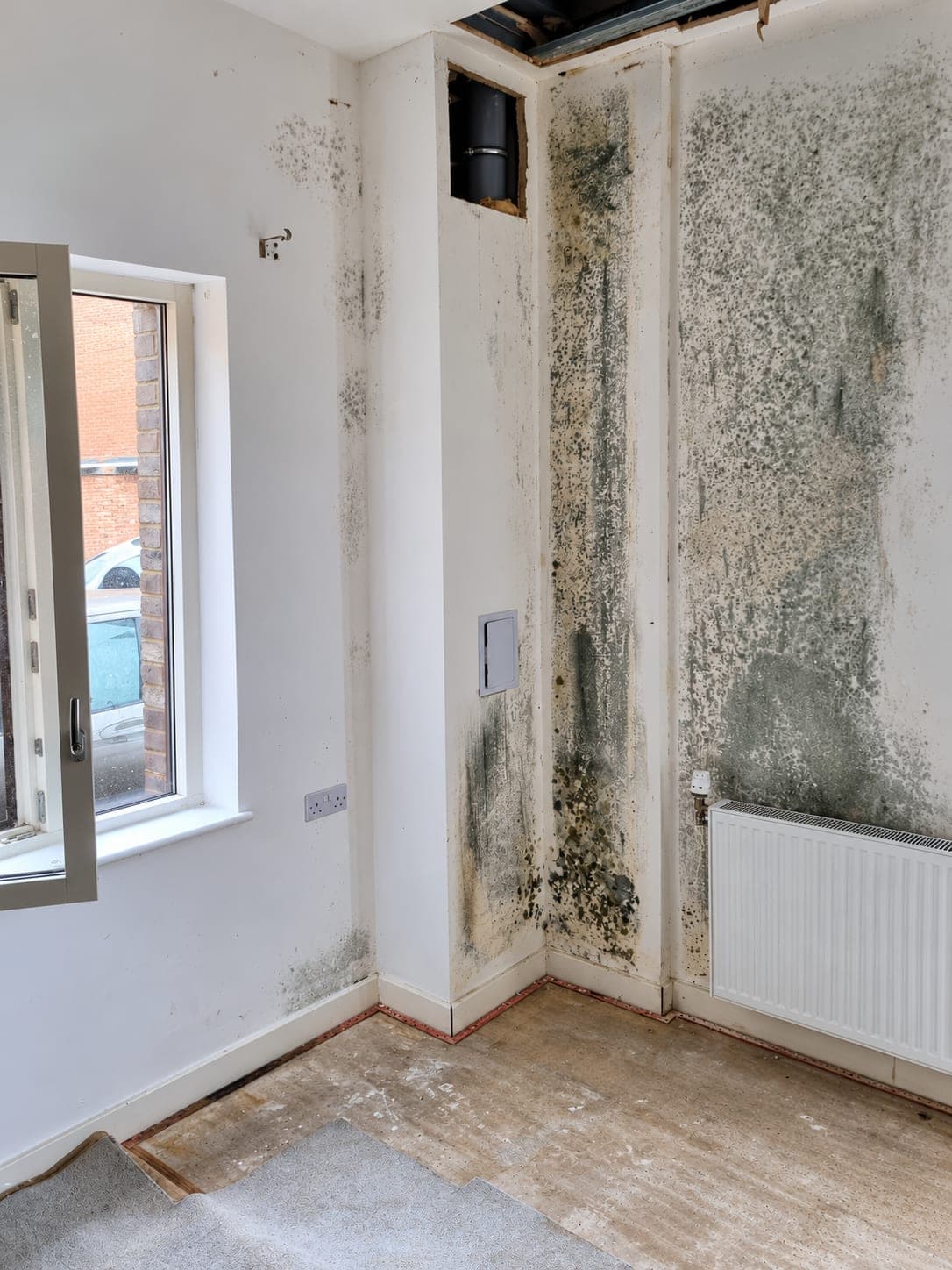 Large mould patch on a wall before treatment, London