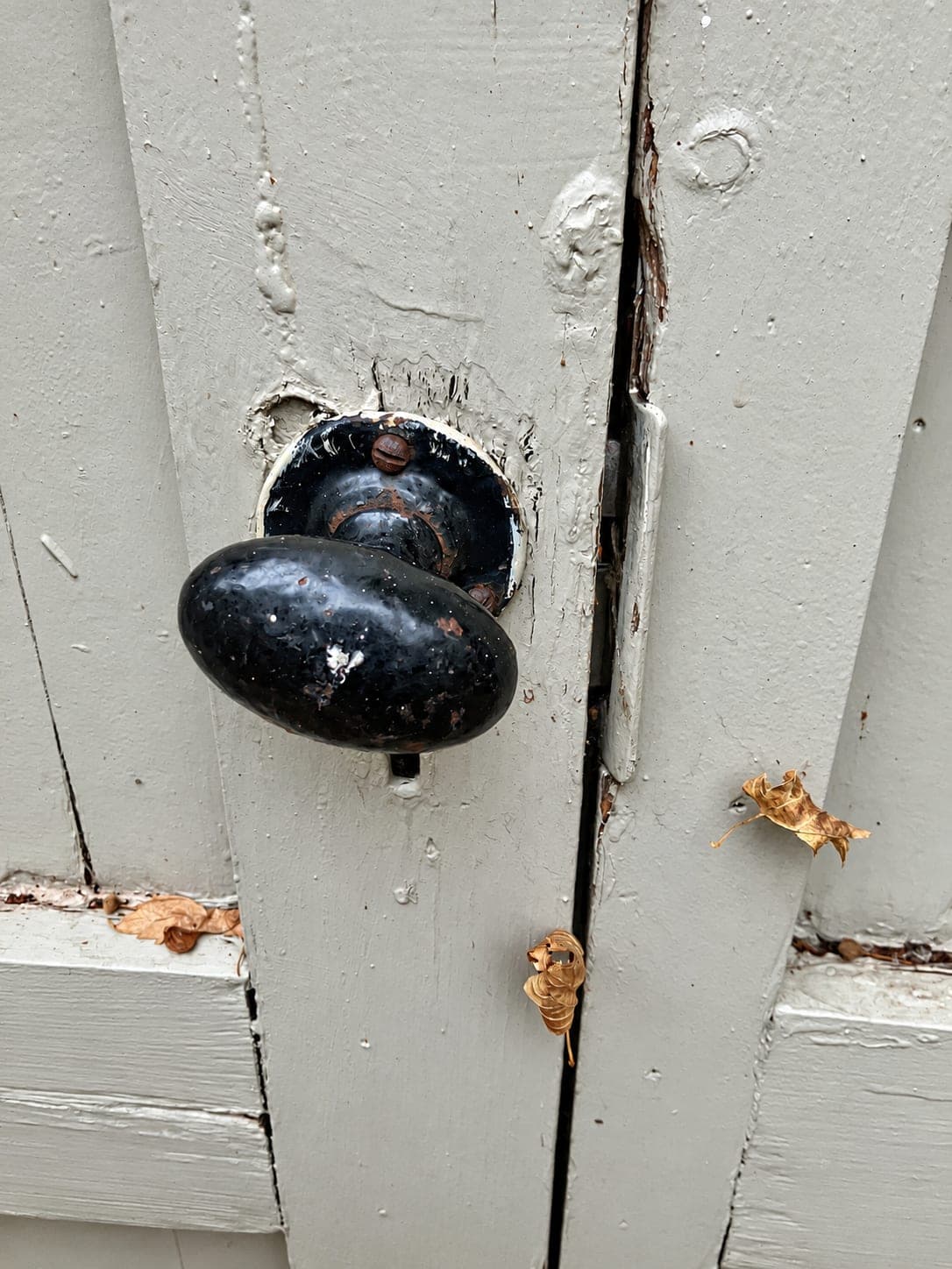 Cast iron handle fitted to a painted timber gate, London